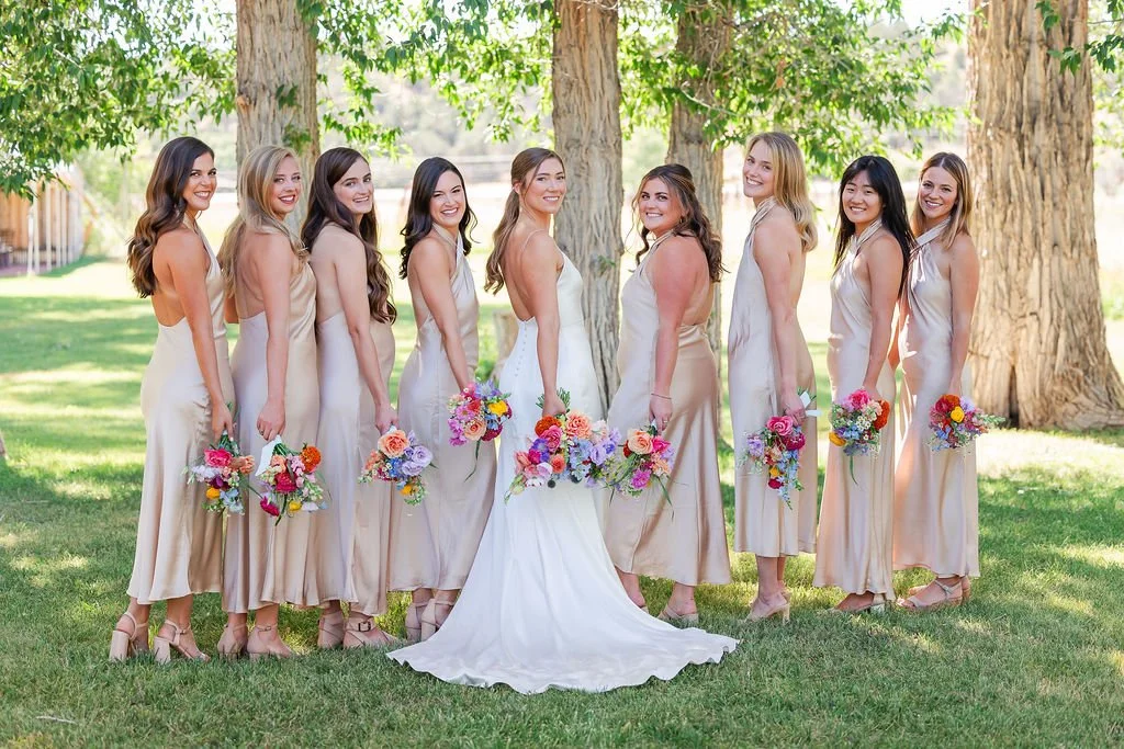 Mountain Formal Wedding Hesperus, CO