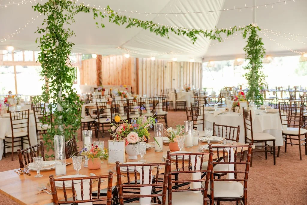 Mountain Formal Wedding Hesperus, CO