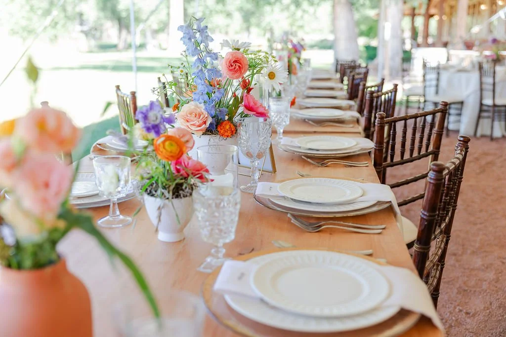 Mountain Formal Wedding Hesperus, CO