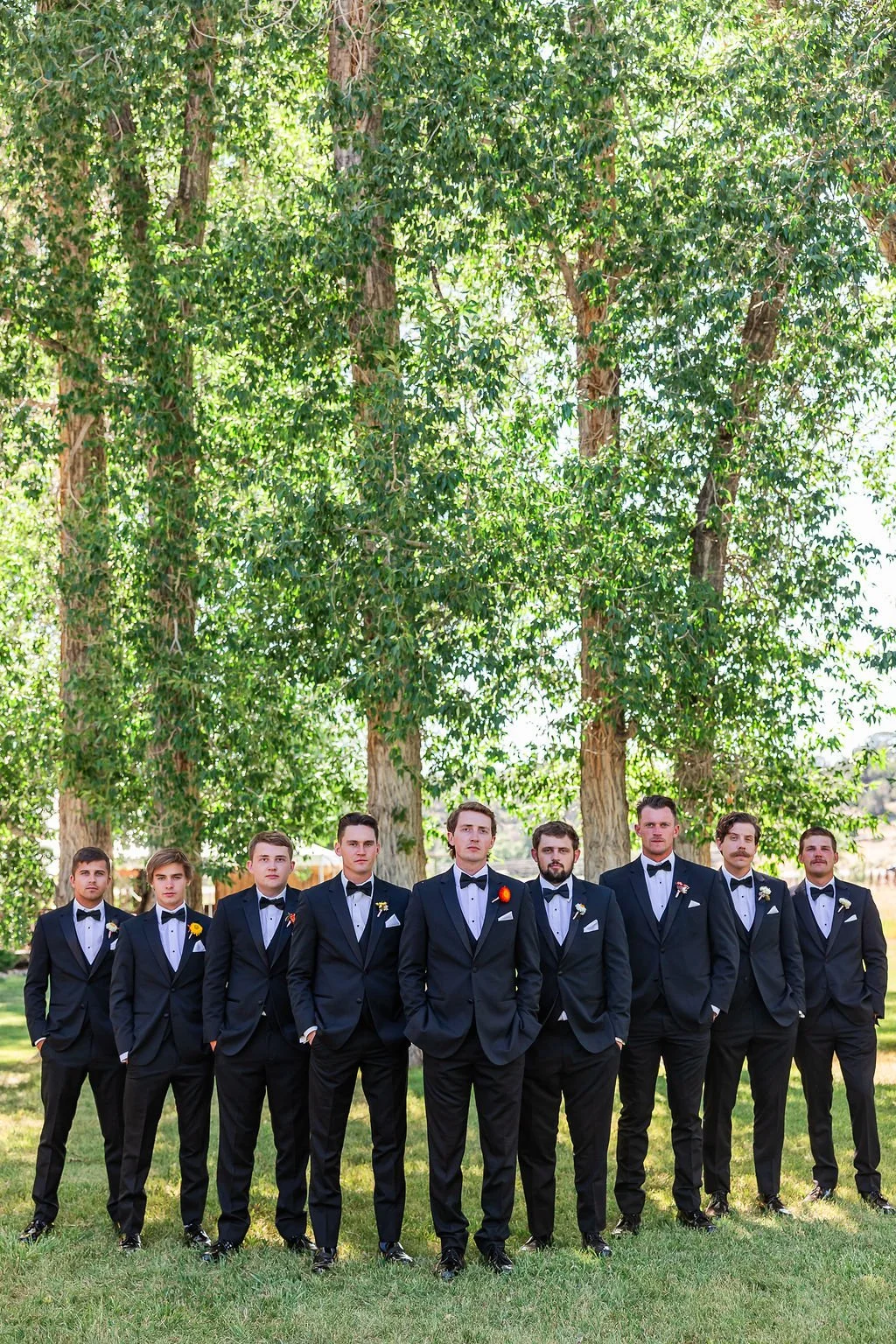 Mountain Formal Wedding Hesperus, CO