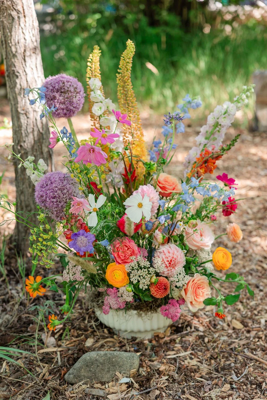 Mountain Formal Wedding Hesperus, CO