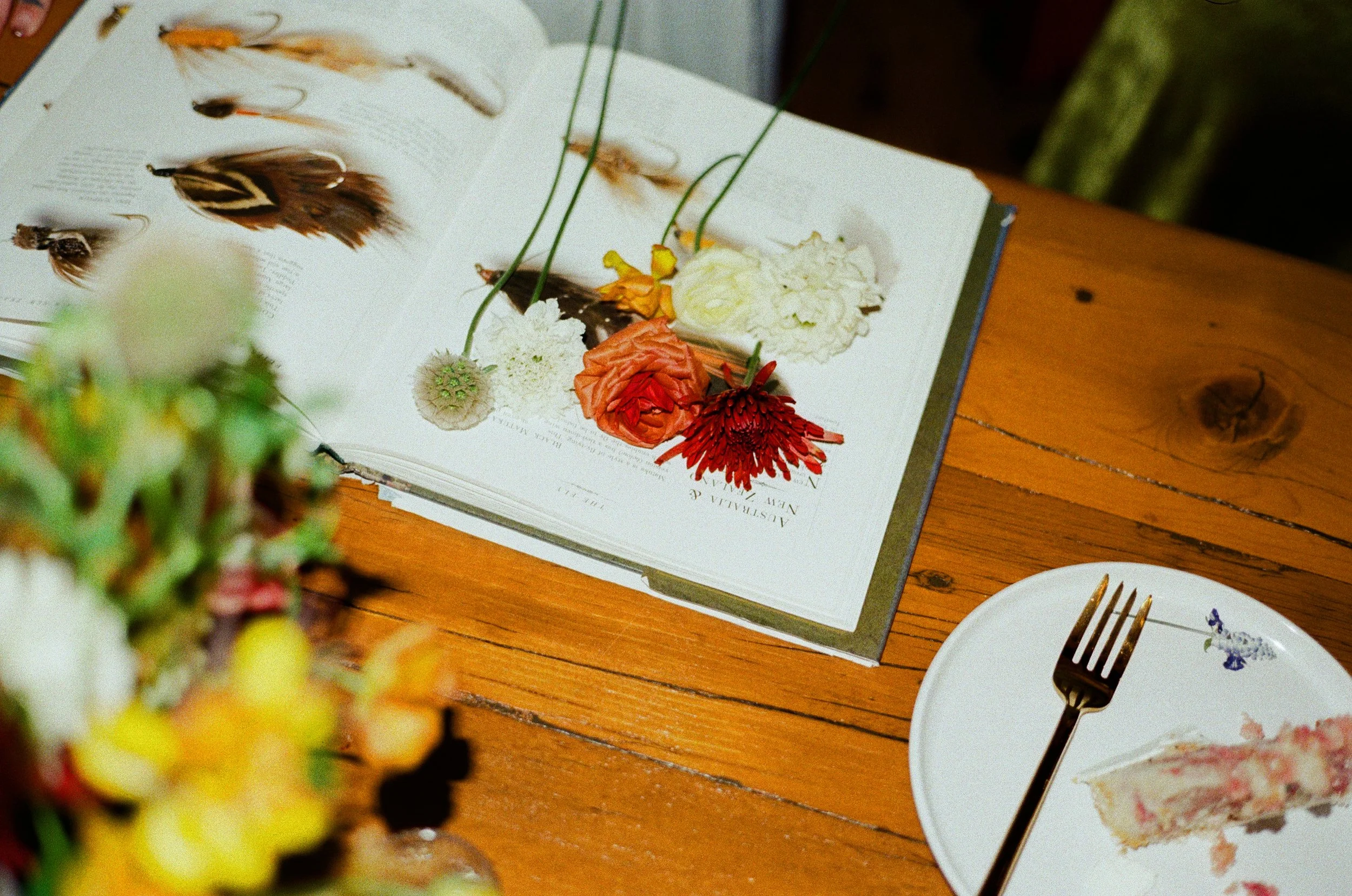 RaeganLucas-Telluride-MicroWedding-35mmFilm-000093480033.jpg