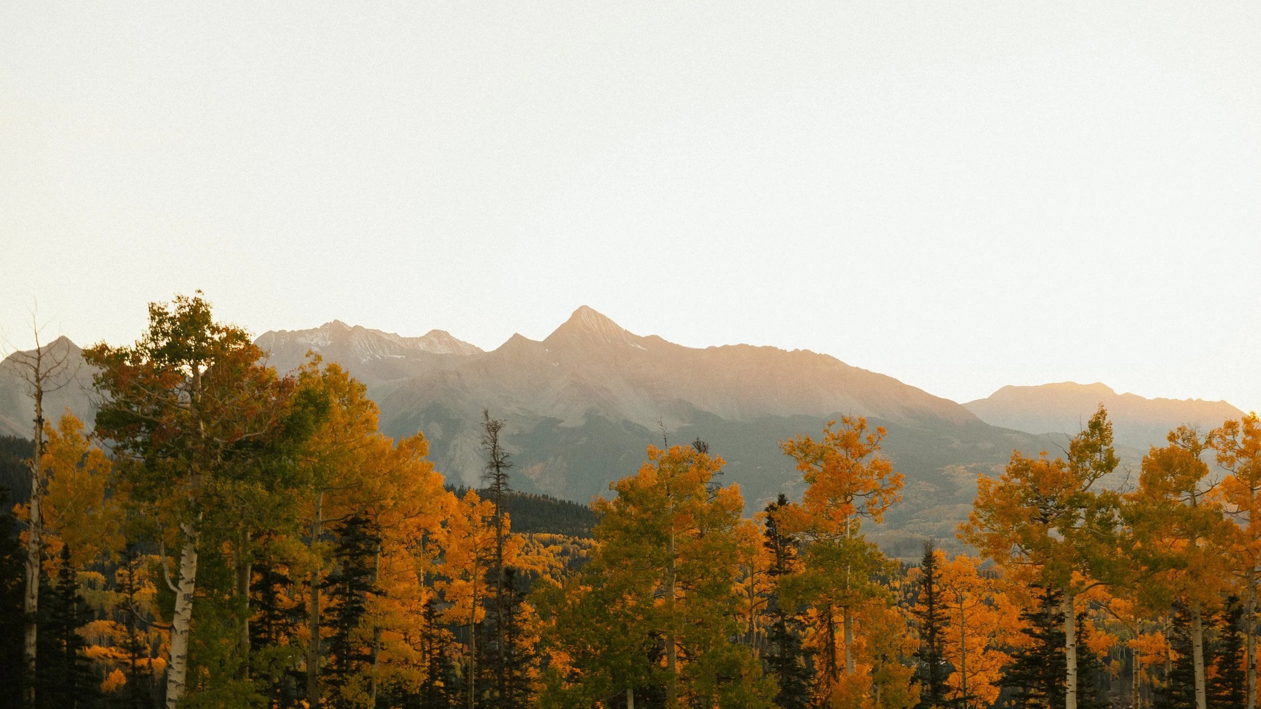RaeganLucas-Telluride-MicroWedding-BrideGroom--128.jpg