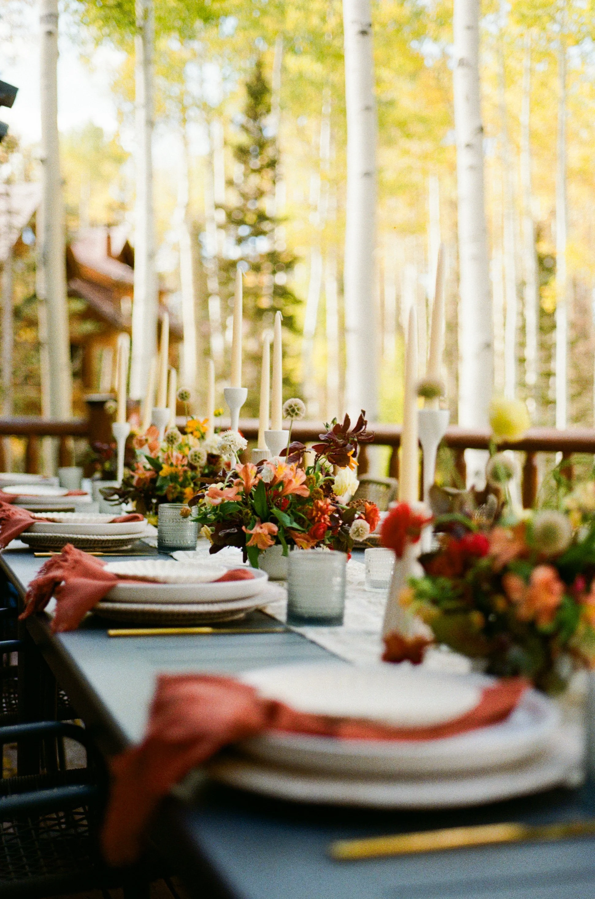 RaeganLucas-Telluride-MicroWedding-35mmFilm-000093470005.jpg