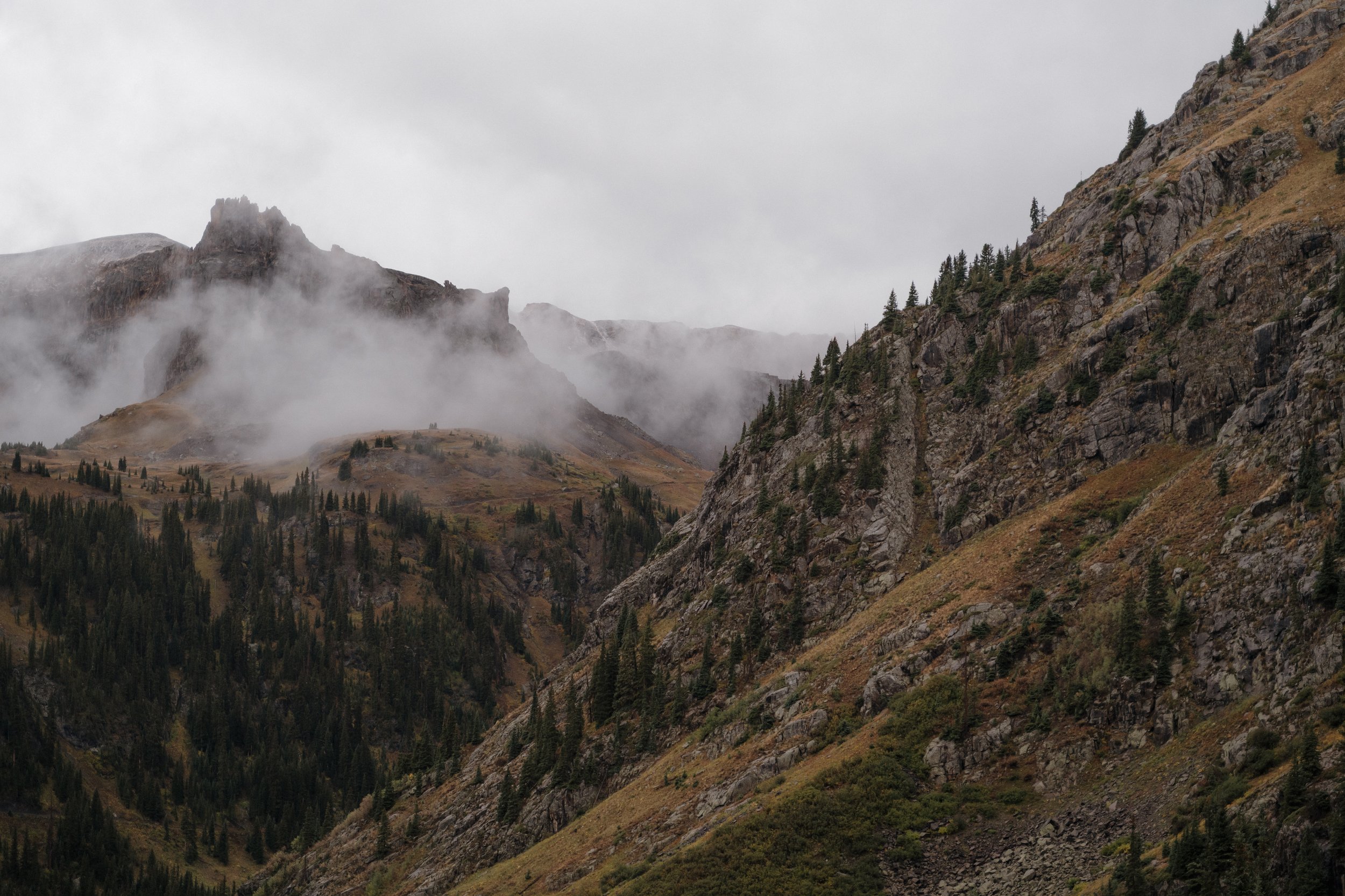 DSC_3367.jpg