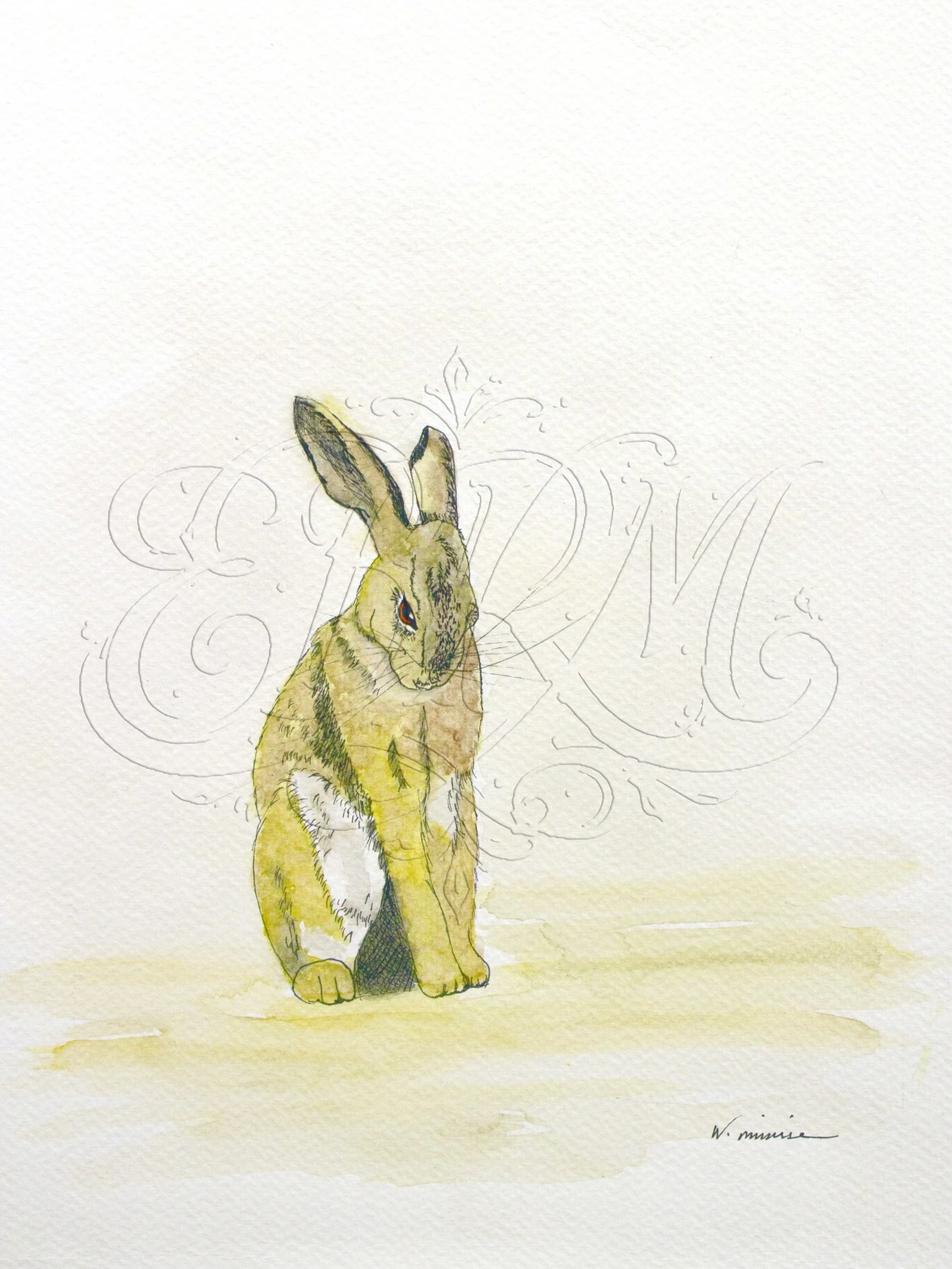 Mr. Hare: Hiding in Plain Sight