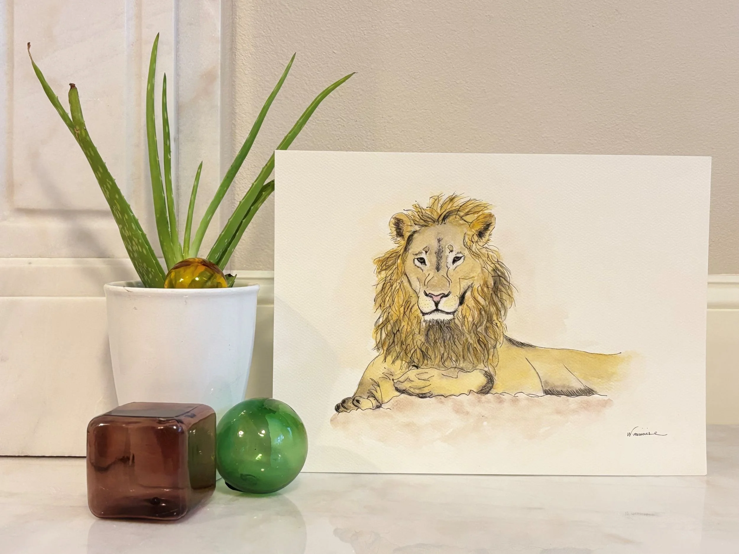 Zaki watercolor artwork by Wells depicting an inquisitive young lion
