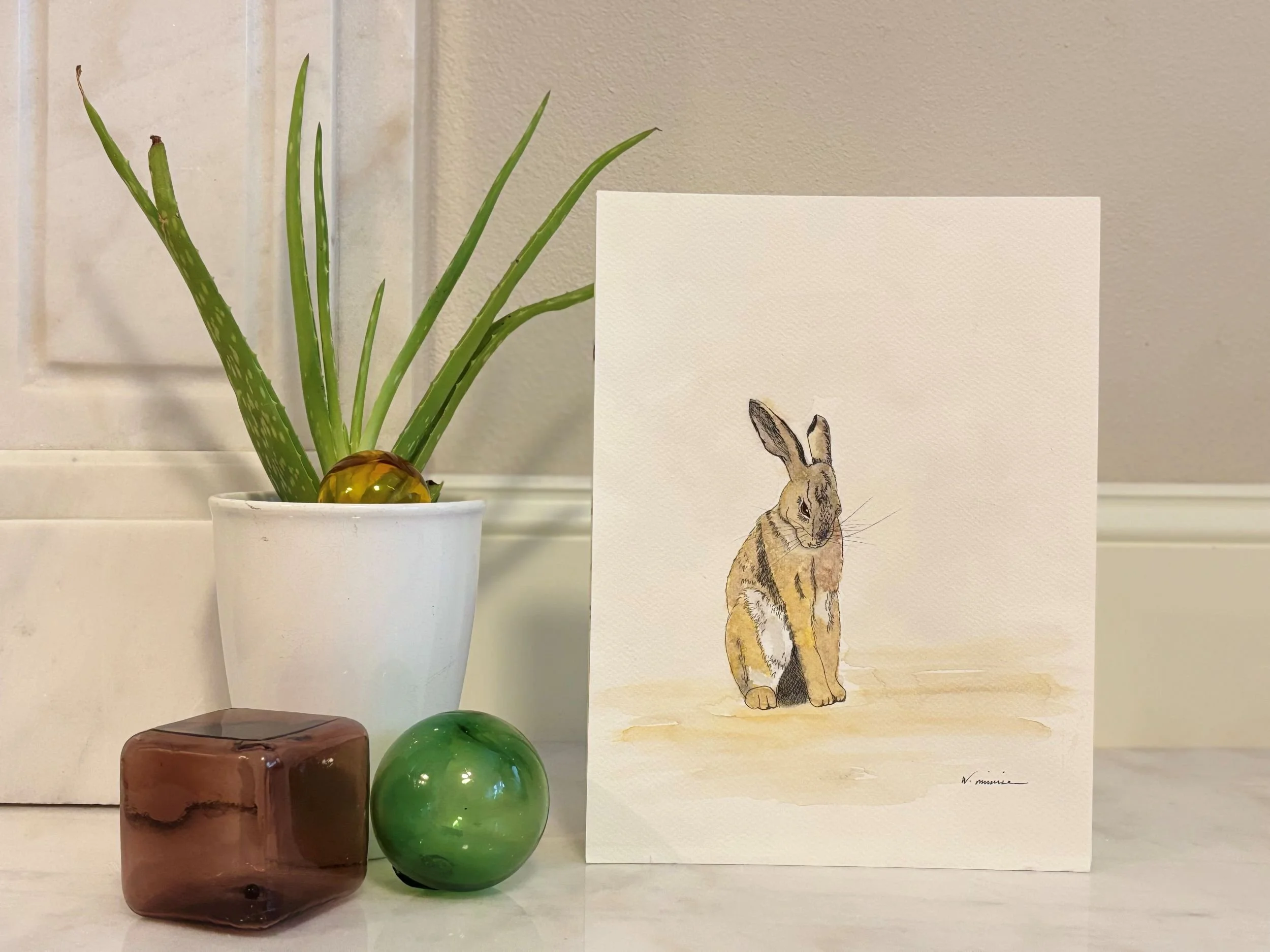 Mr. Hare - Hiding in plain sight.jpg