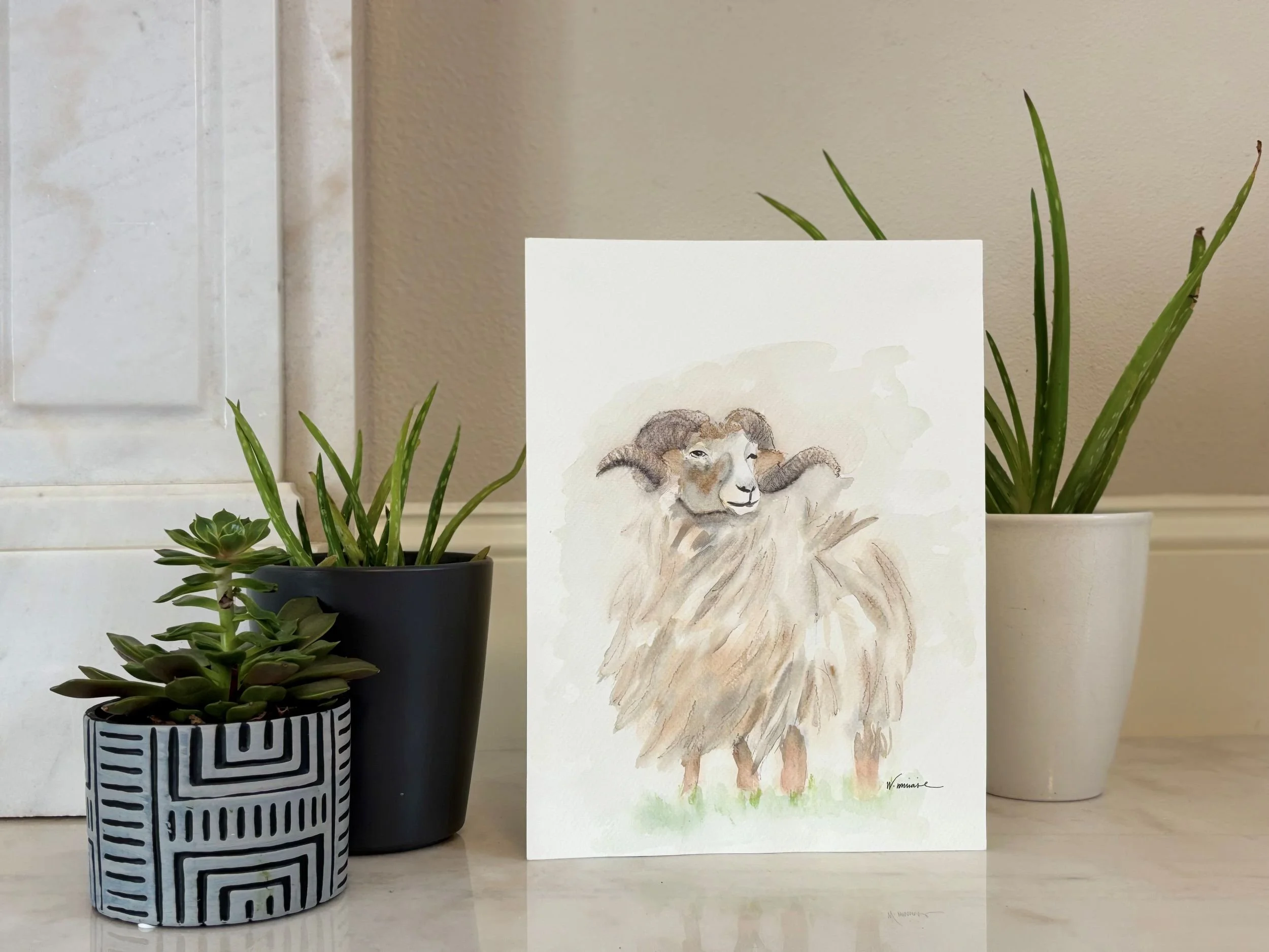 Detail of Skye watercolor painting showing the woolly coat and expressive posture of a ram