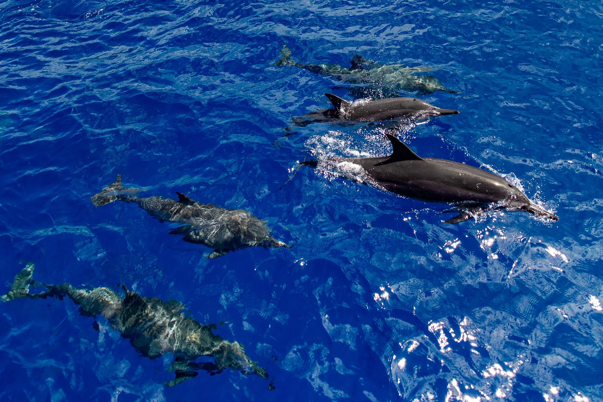 G.Portfolio - Website-180.jpg