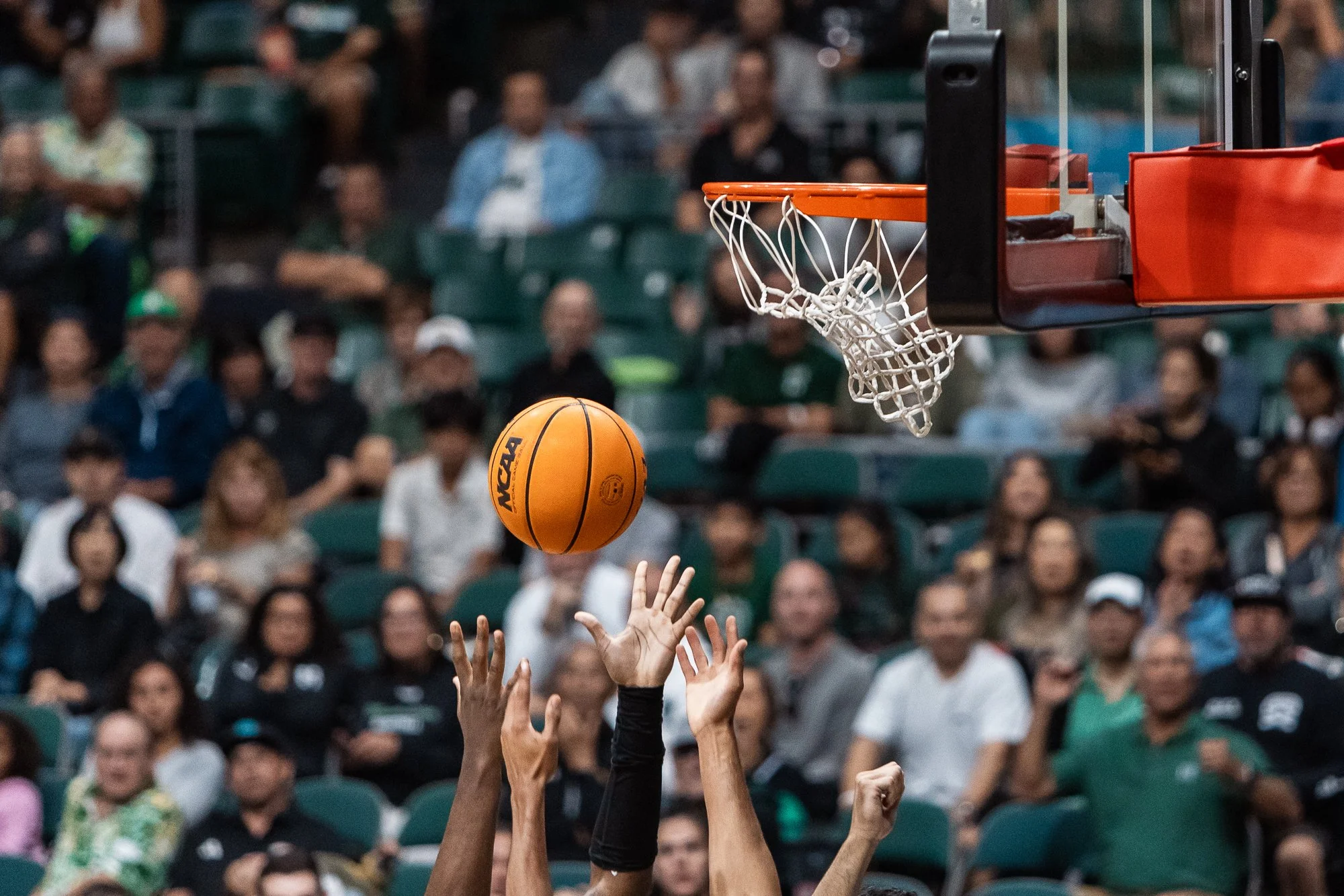 G.Portfolio - Website-338.jpg