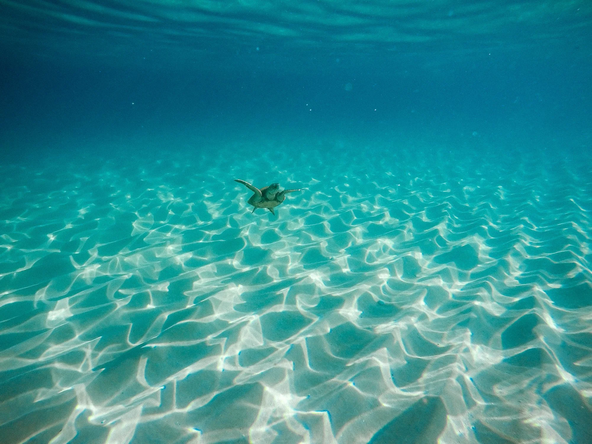 G.Portfolio - Website-003.jpg