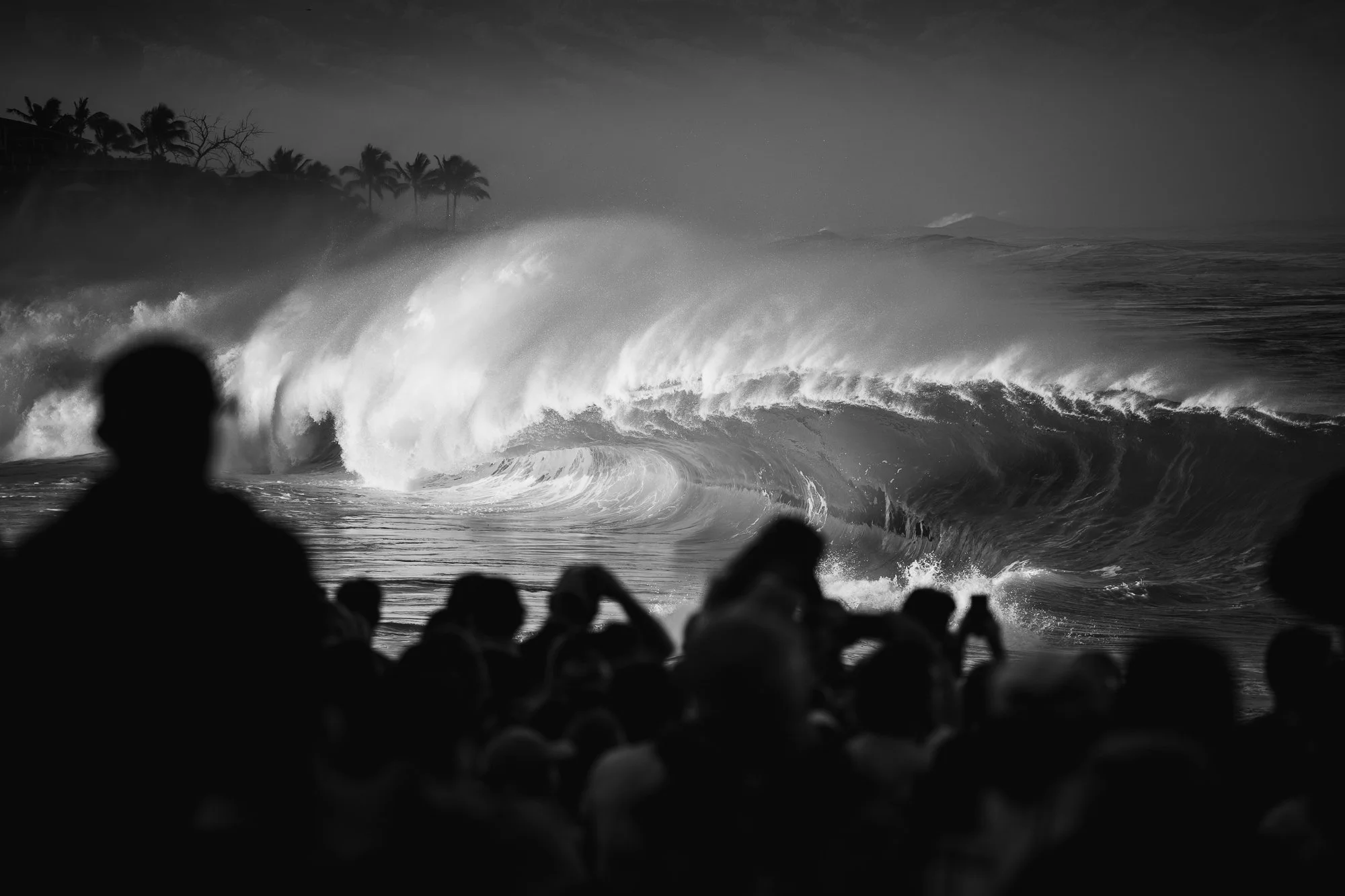 G.Portfolio - Website-097.jpg