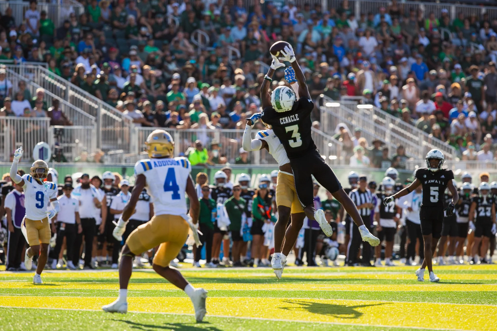 G.Portfolio - Website-063.jpg