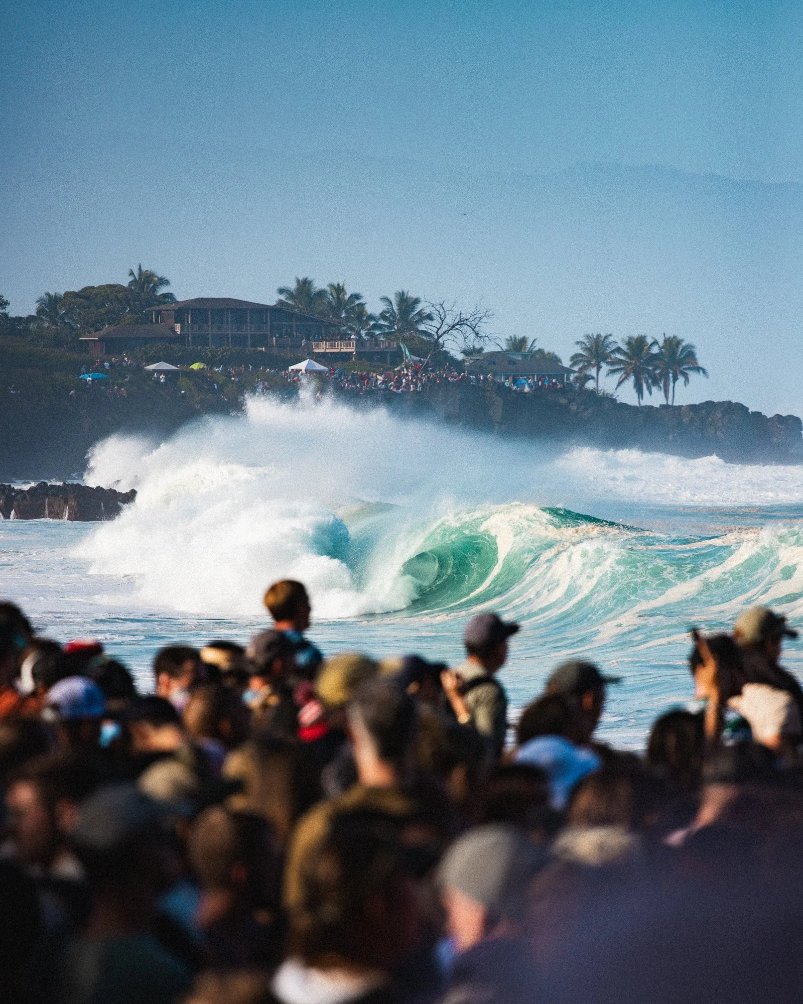 G.Portfolio - Website-016.jpg