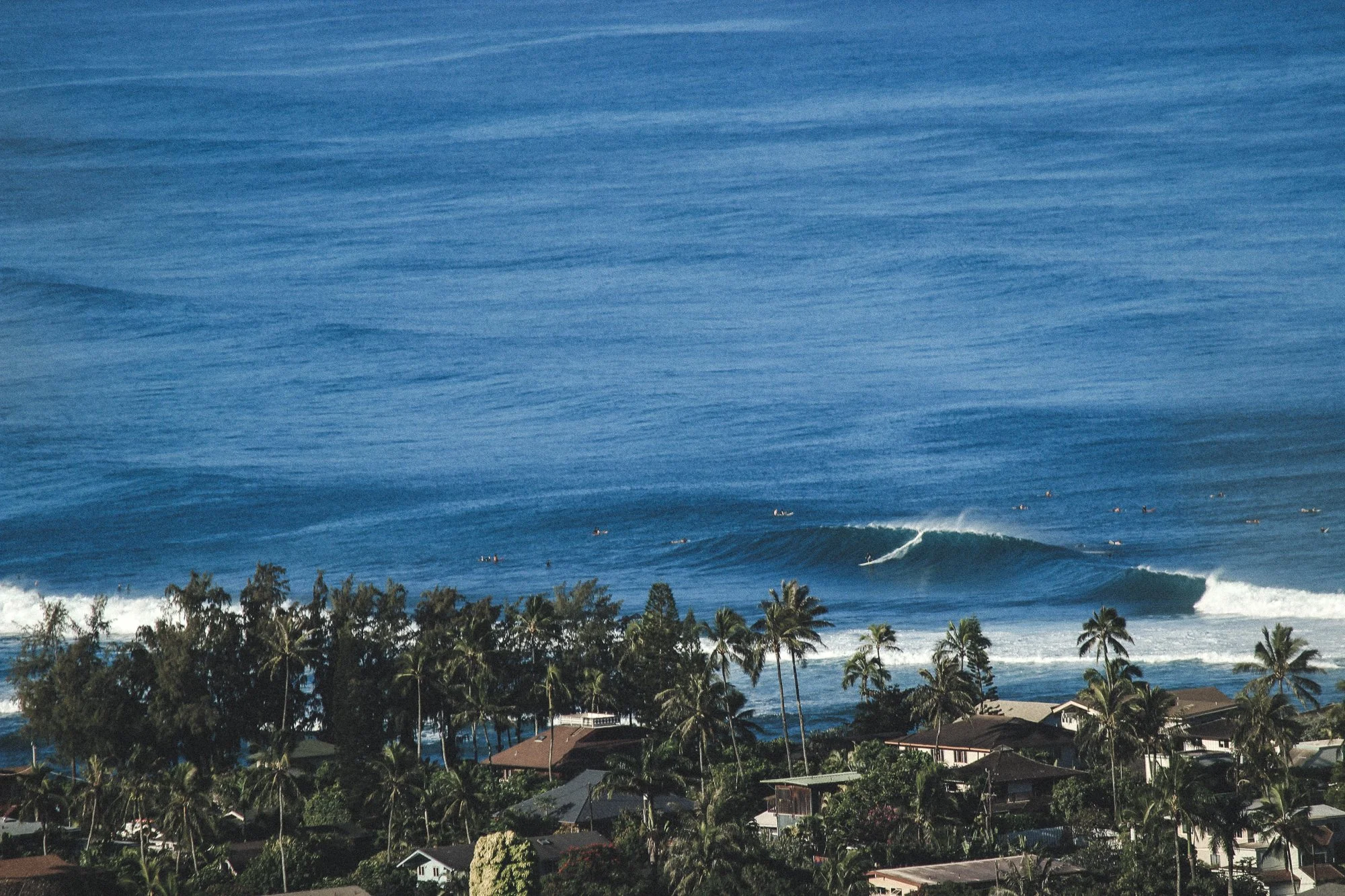 G.Portfolio - Website-001.jpg