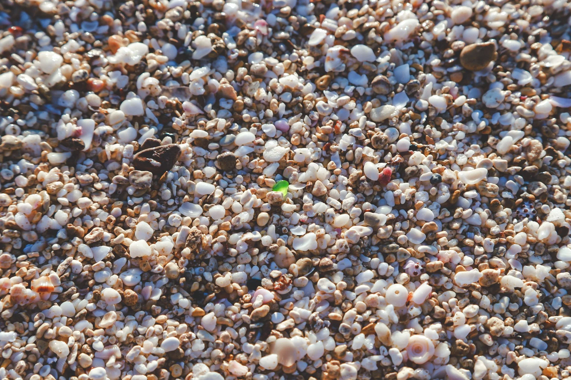 G.Portfolio - Website-005.jpg