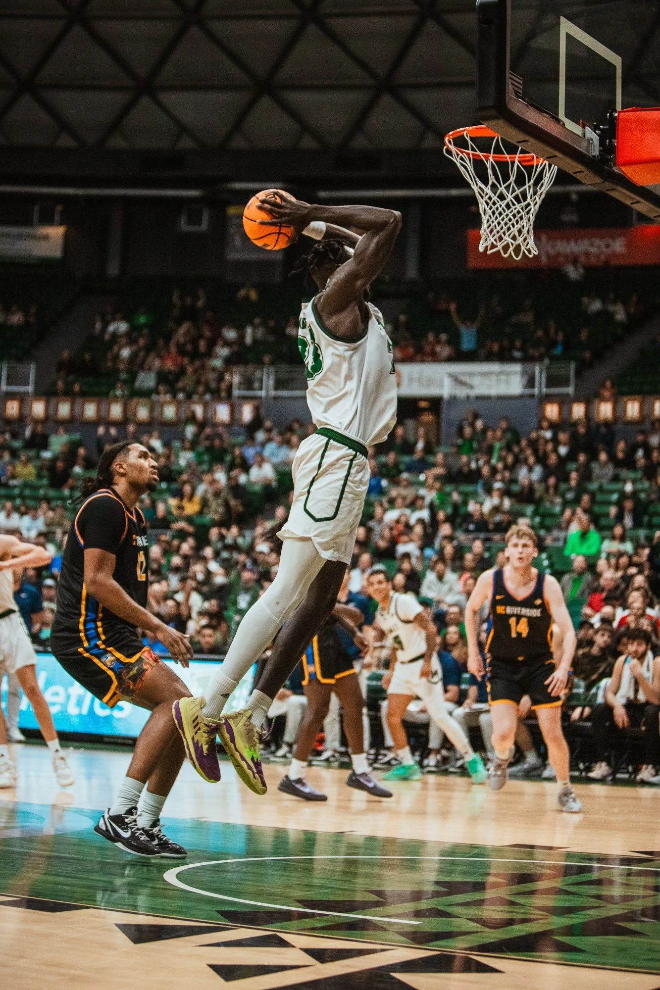 G.Portfolio - Website-031.jpg