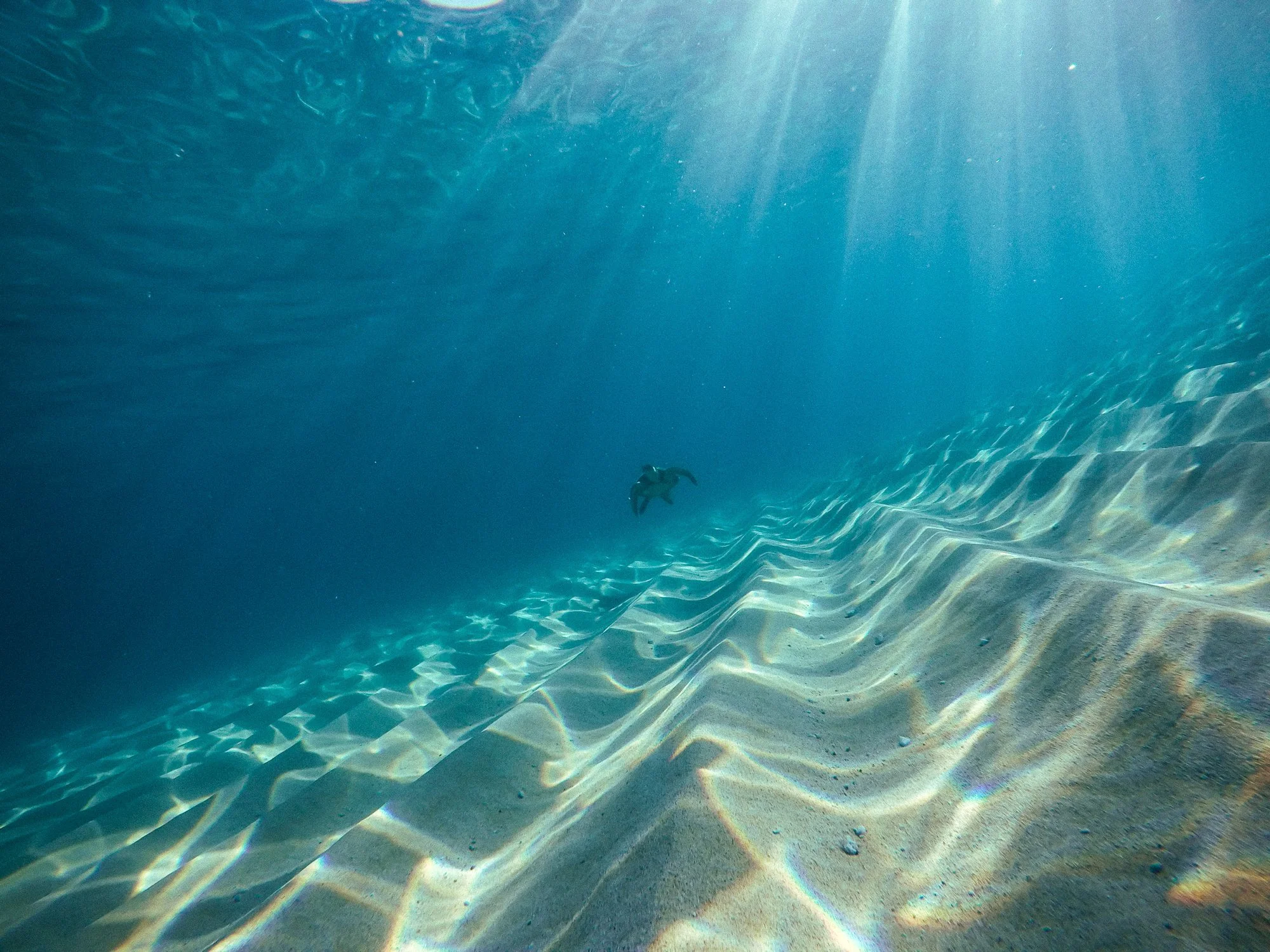 G.Portfolio - Website-002.jpg