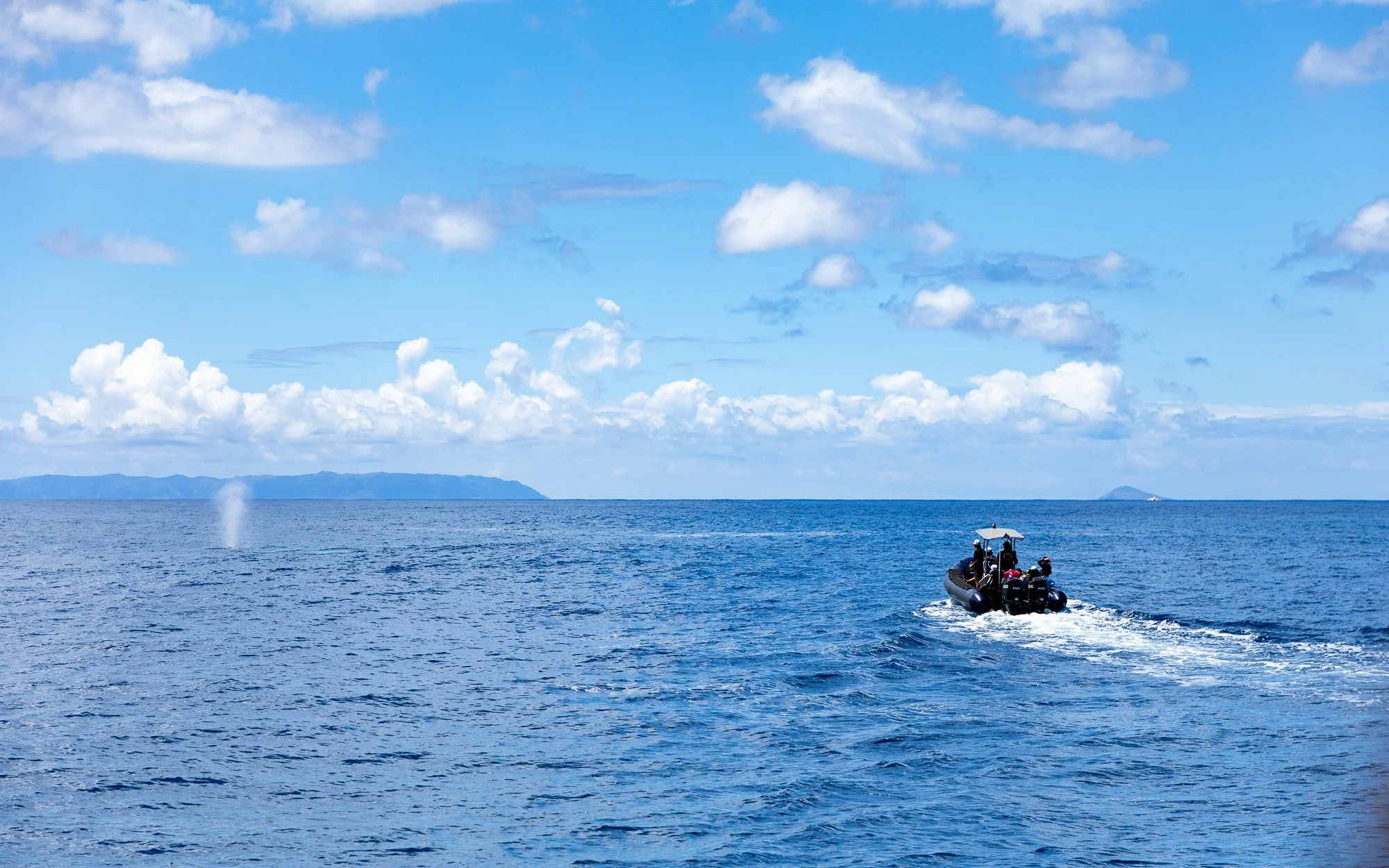 G.Portfolio - Website-179.jpg