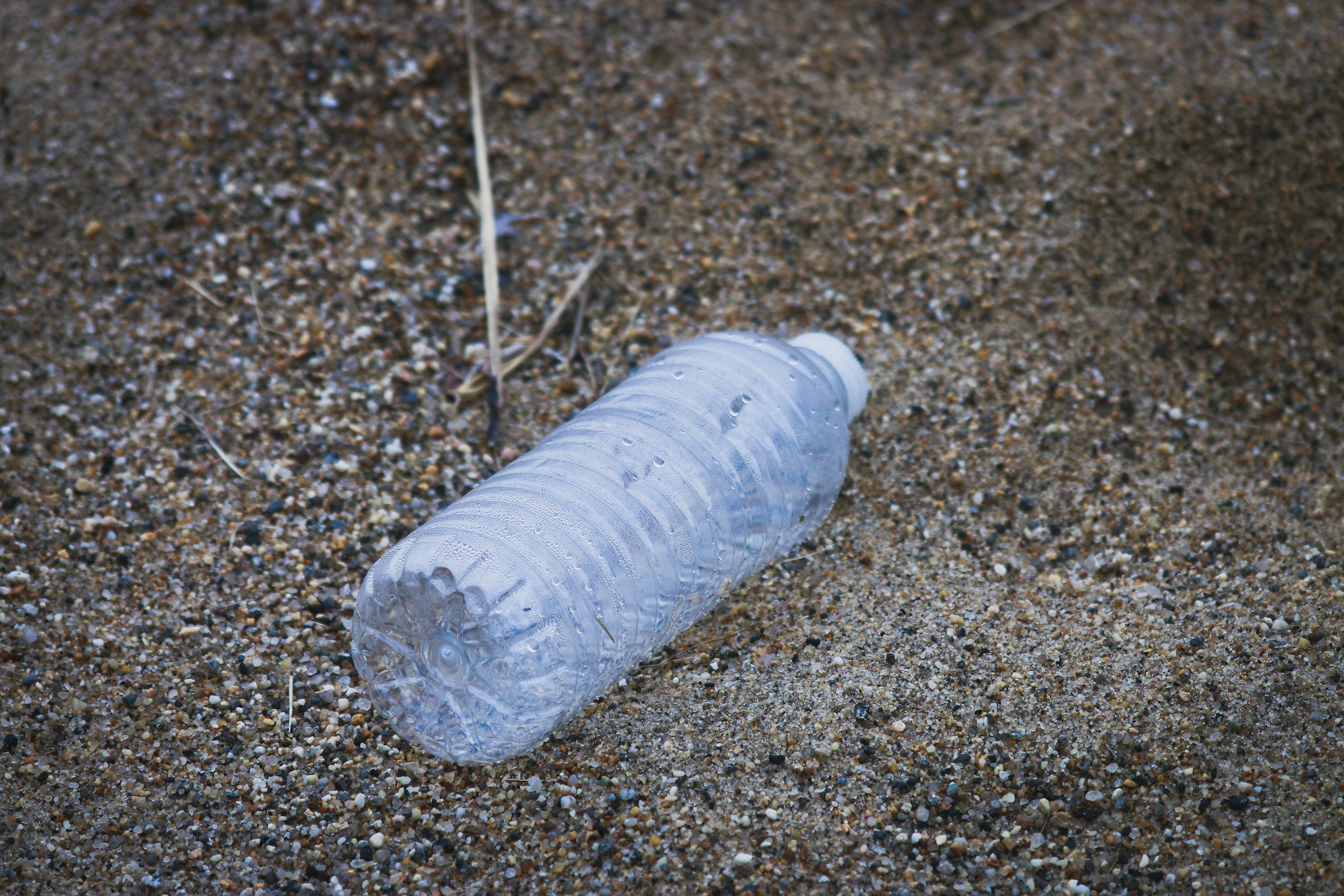 The Story of a Plastic Bottle