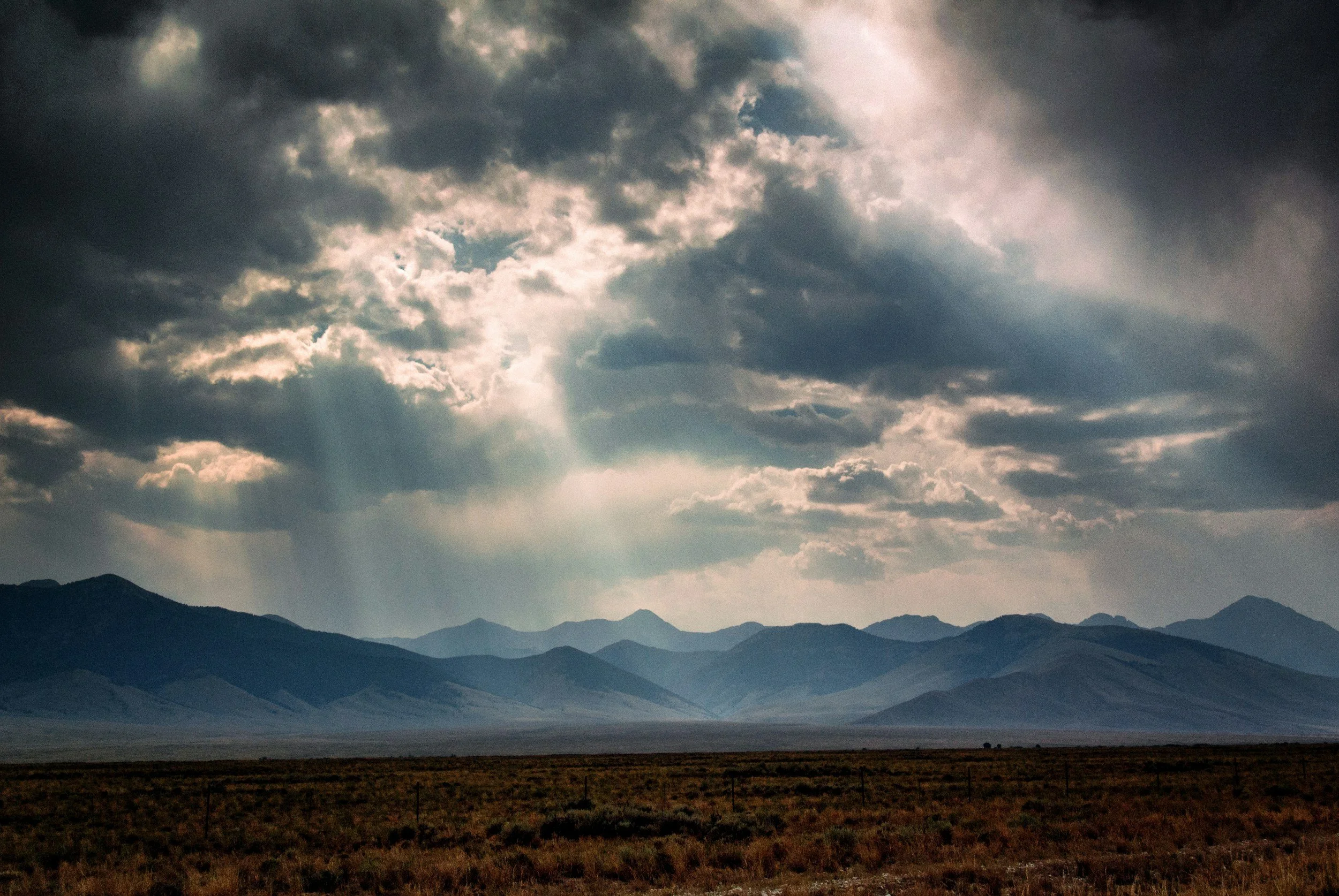 What Happens When It Rains in the Desert?