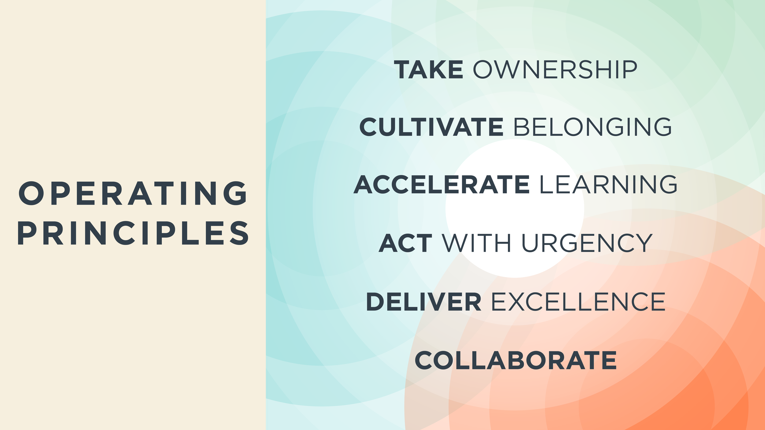 FMI Values 2025_Operating Principles_ALL_Side Bar.png