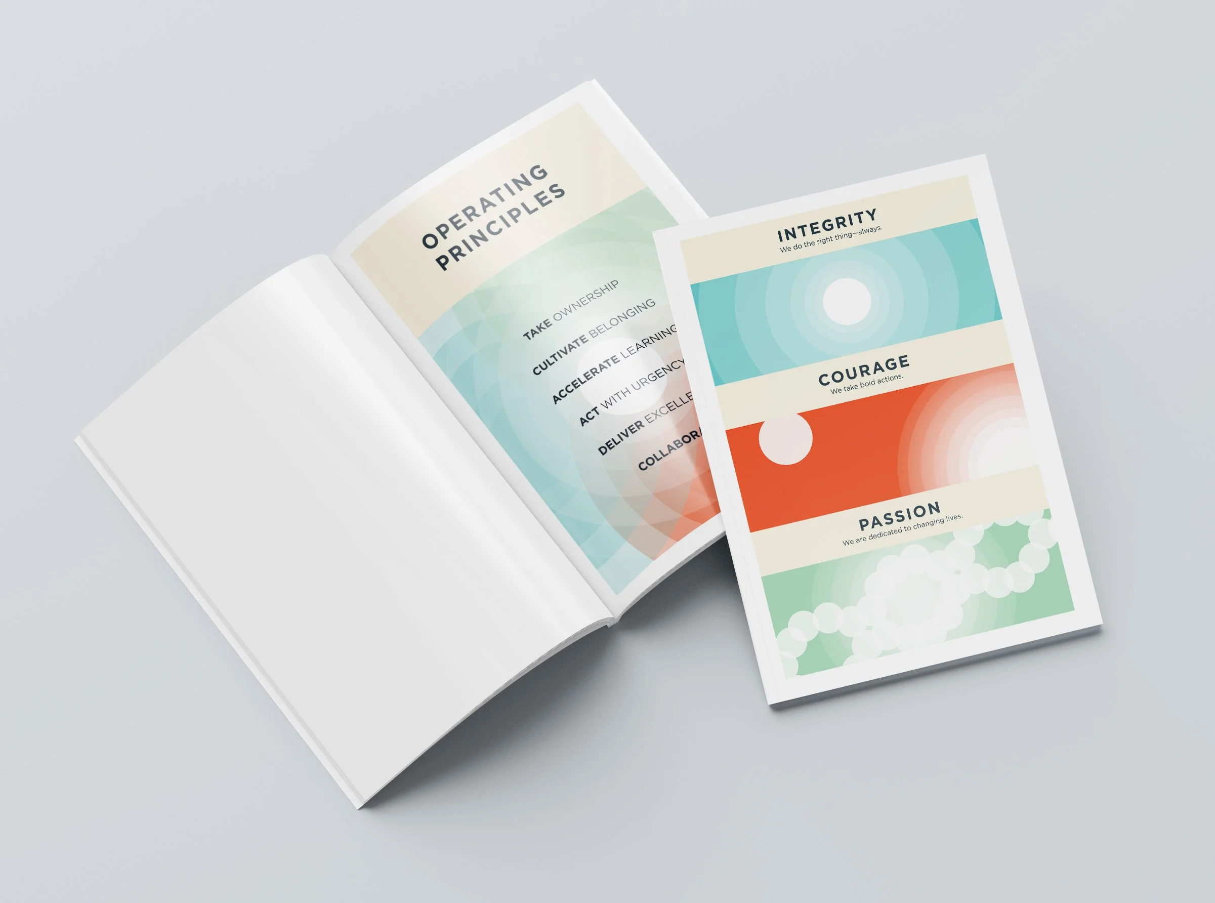 FMI Values_Notebook_Mockup.jpg