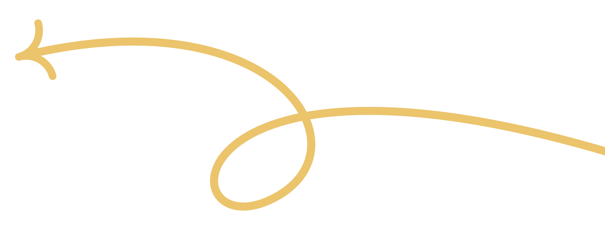 Elegant gold decorative flourish on black background.