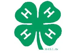 Green four-leaf clover with white key symbols on each leaf.