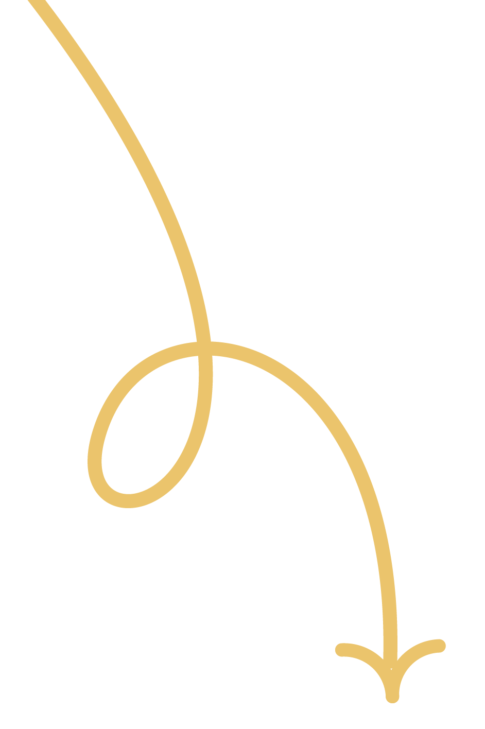 Gold-colored outline of a hanging string with a loop at the top, descending into a curved shape.