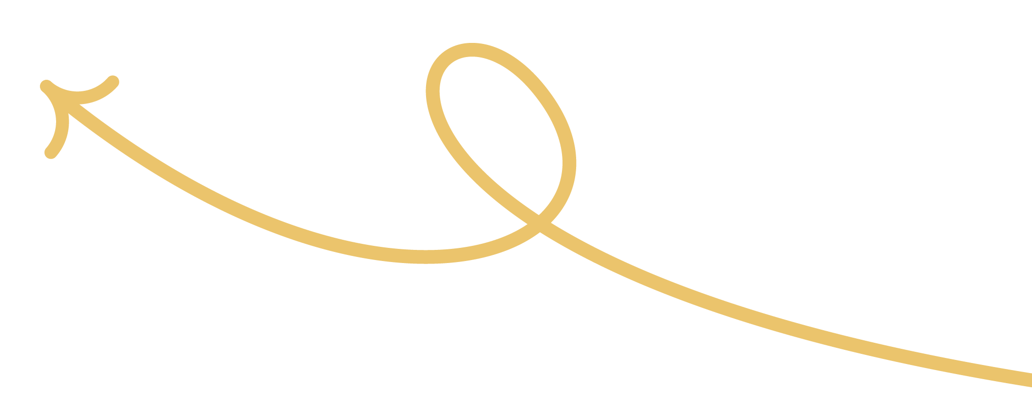 Graph illustrating the concept of entropy with a curved arrow showing transformation from order to disorder, and a loop indicating a cycle.