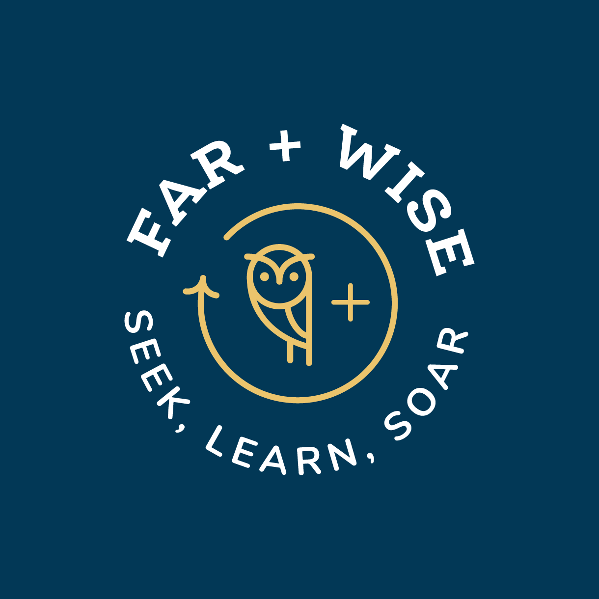 Logo with an owl illustration and the text 'FEAR + WISE' above it, and 'SEEK, LEARN, SOAR' below, on a dark blue background.