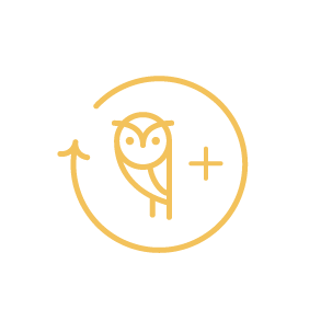 A circular logo with an owl in the center, surrounded by the words "FAR + WISE" at the top and "SEEK, LEARN, SOAR" at the bottom inside a black background.