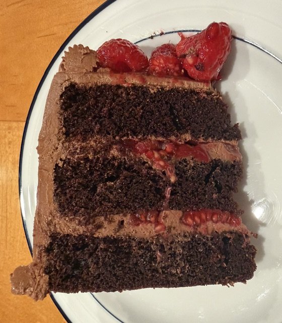 chocolate raspberry cake SLICE.jpeg