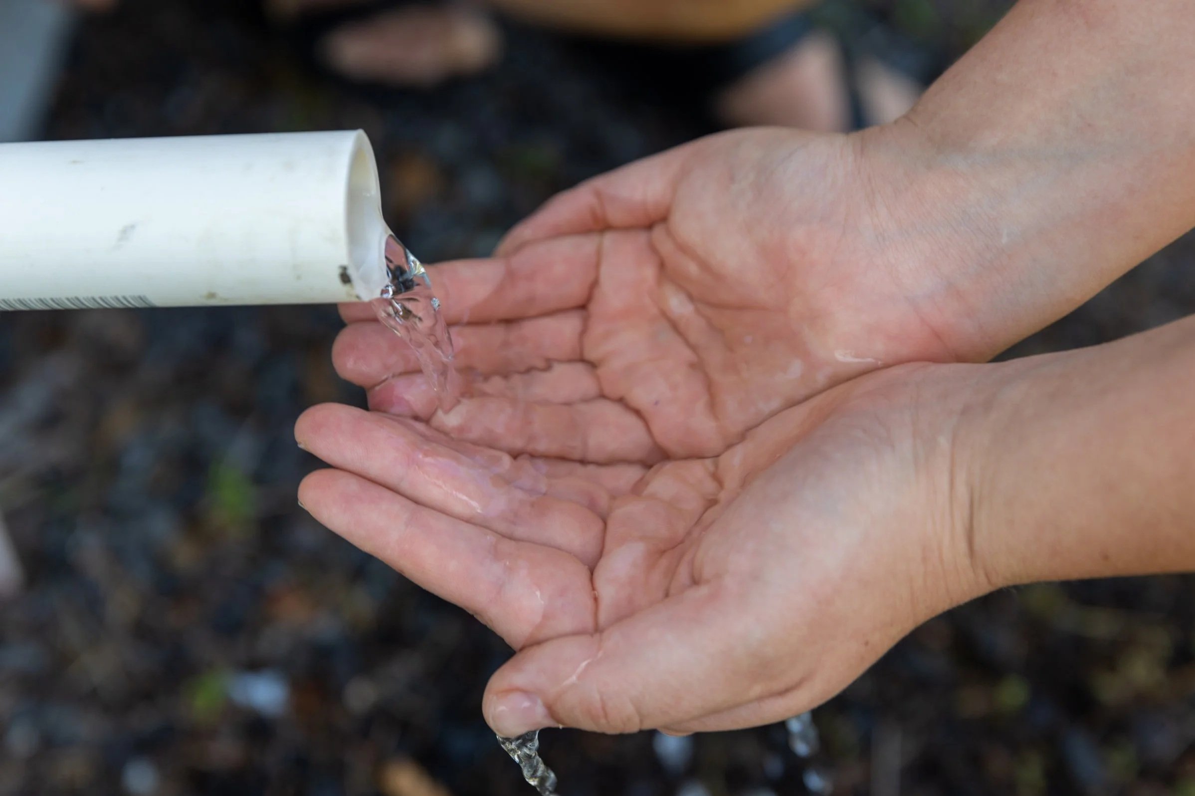 A person is holding out their hands to catch water flowing from a white PVC pipe against a blurred outdoor background.