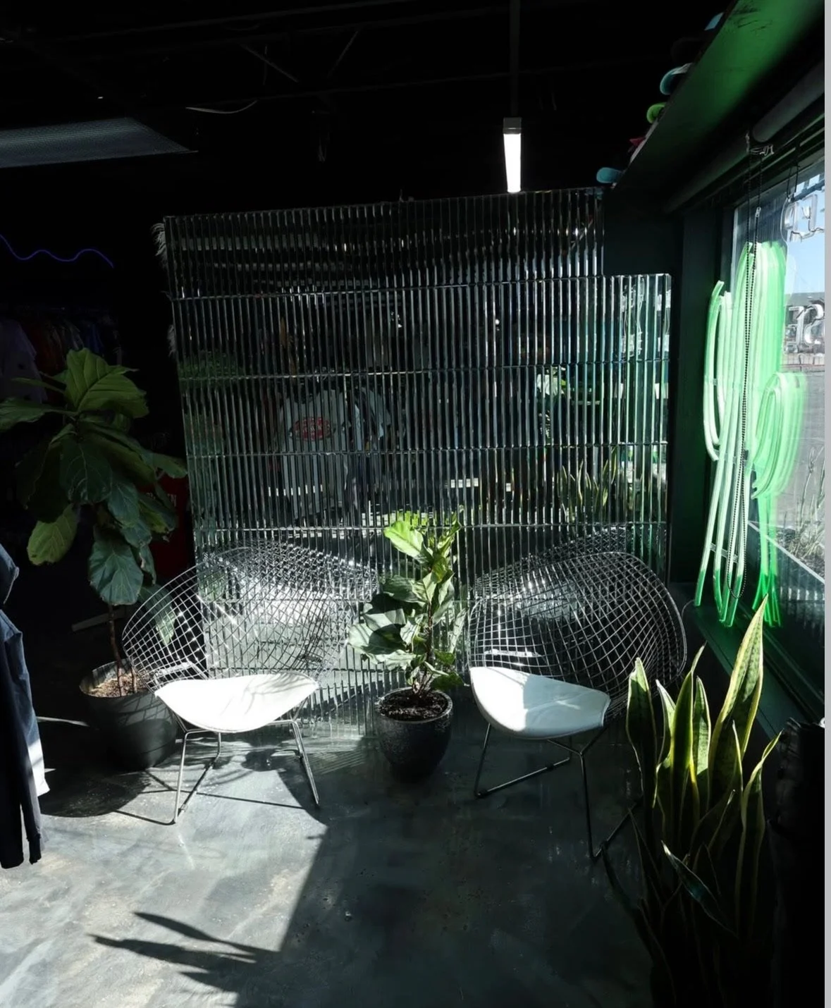 Interior of a modern space with two white wire chairs, a potted plant, and a neon sign on the window. Sunlight casts shadows on the concrete floor.