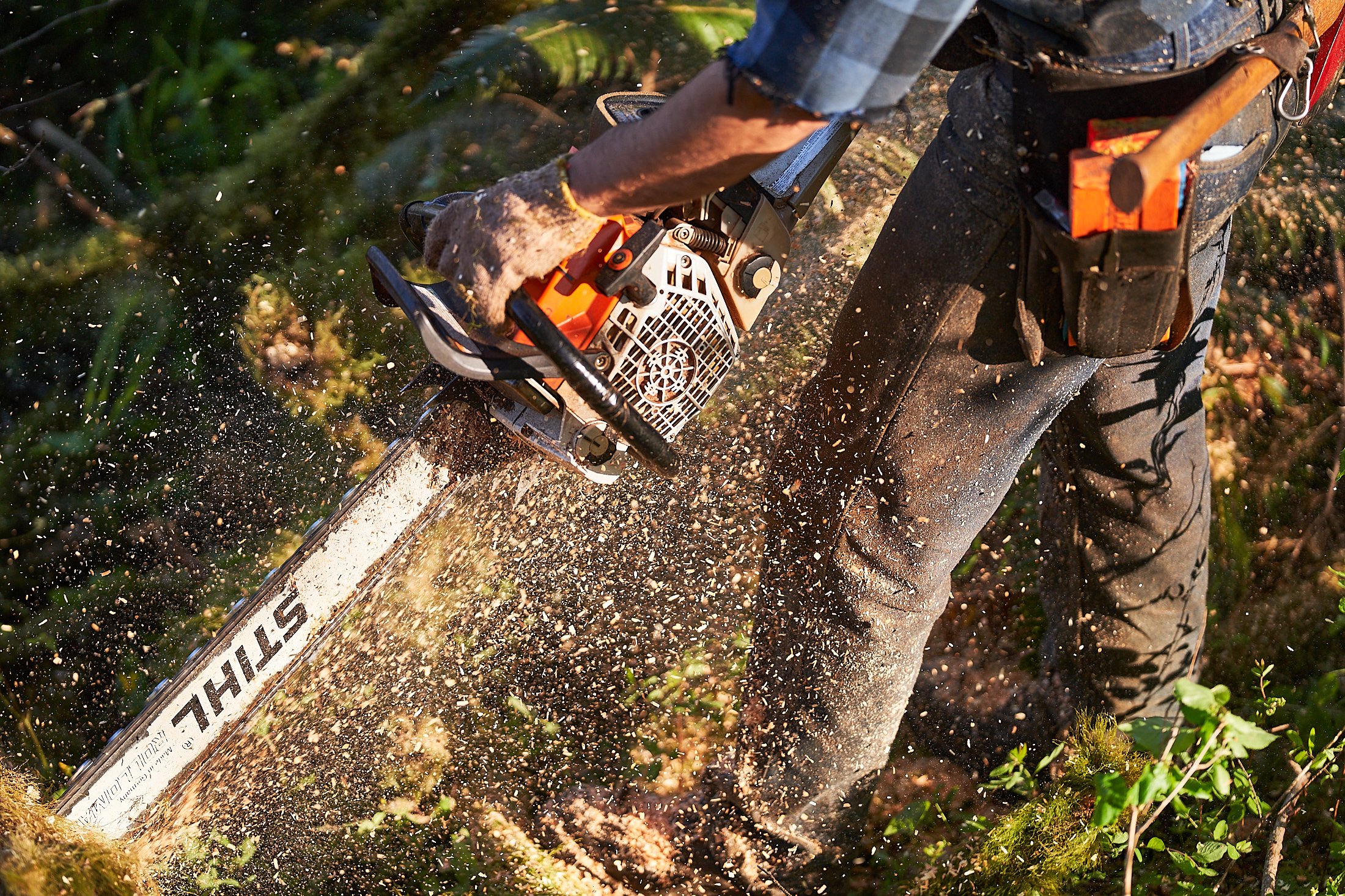 Personal work: Oregon Timber