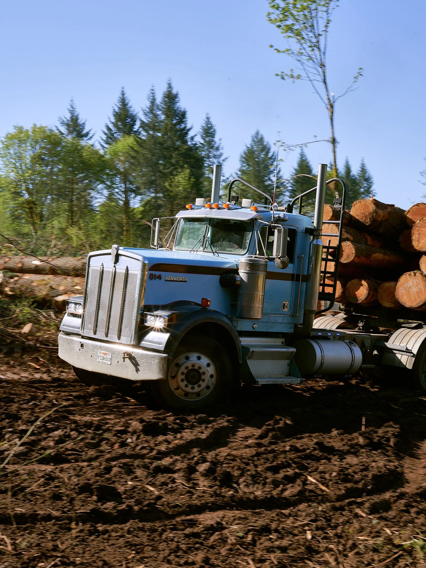 230510_Logging_SR-0852.jpg