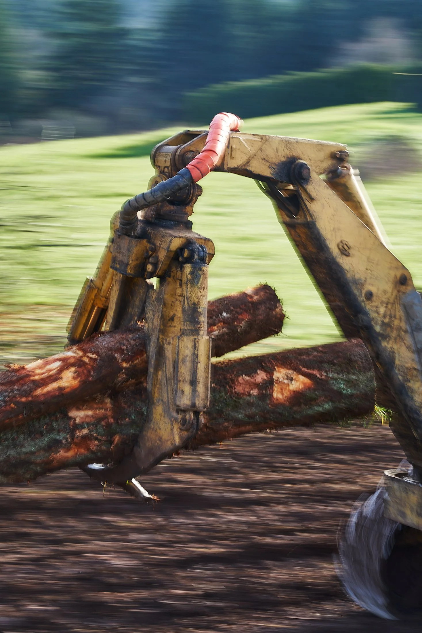 2024-02-23 10.19.29.jpg