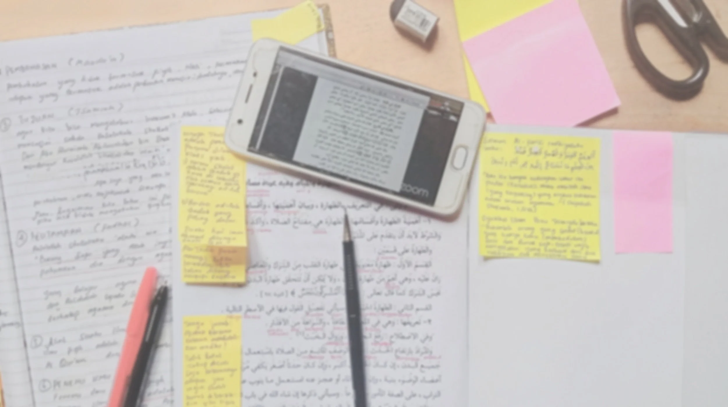 Private College Essay Coaching