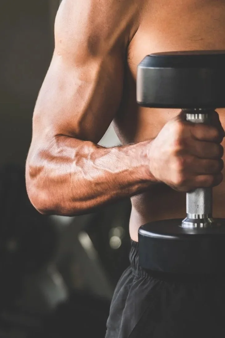 Personal Training close up of a bicep.