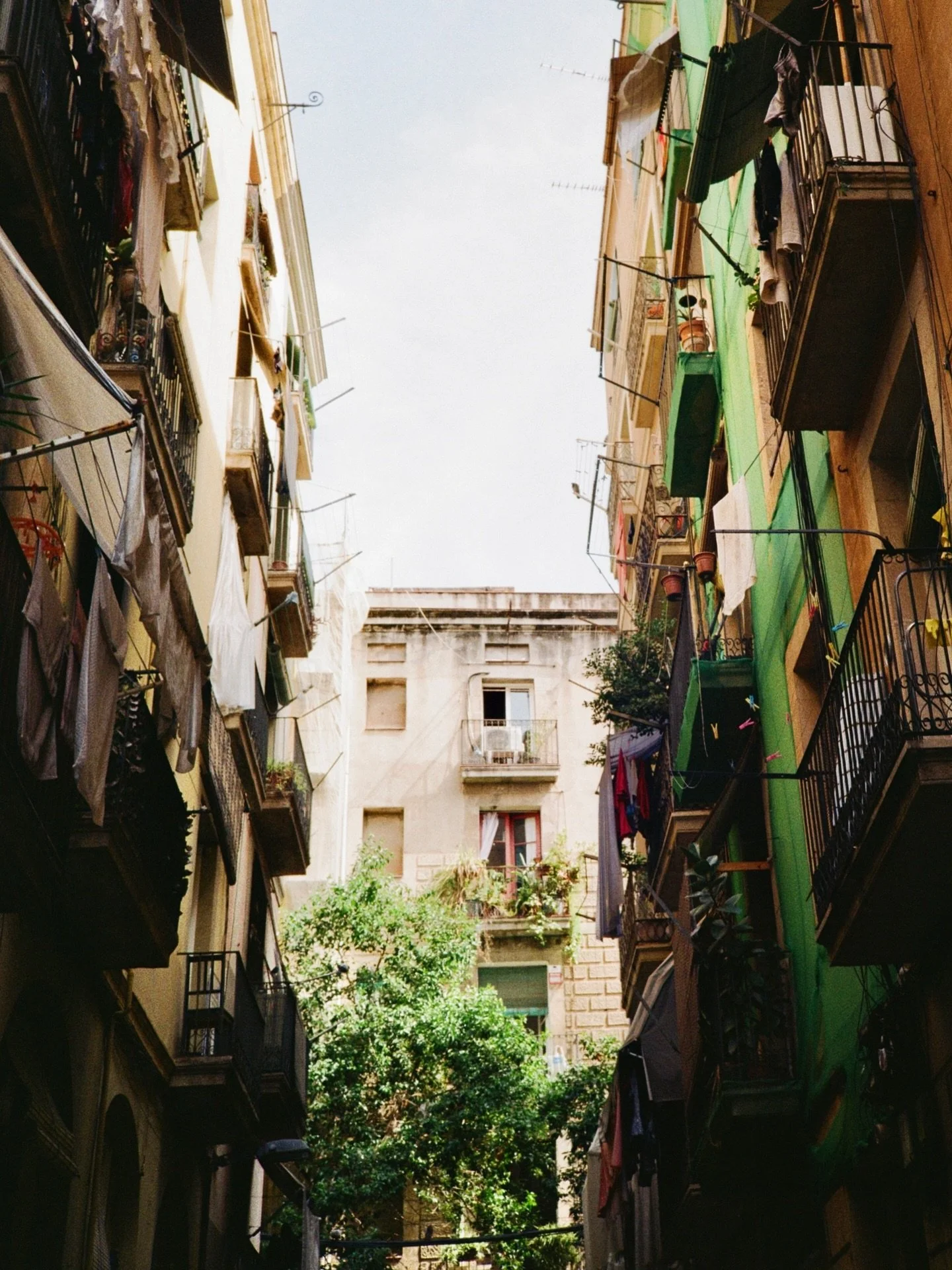Barcelona on film ❤️

Did you know that the human eye can see more shades of green than any other color? Kelly green has always been a color that sings to me. Makes me feel like a dinosaur and I just need to take a bite out of it.

#35mm #barcelona