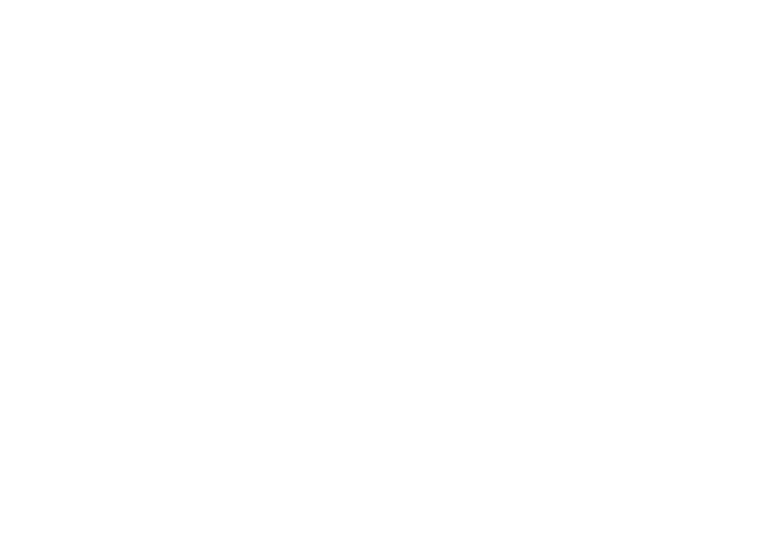 Vieve Studio