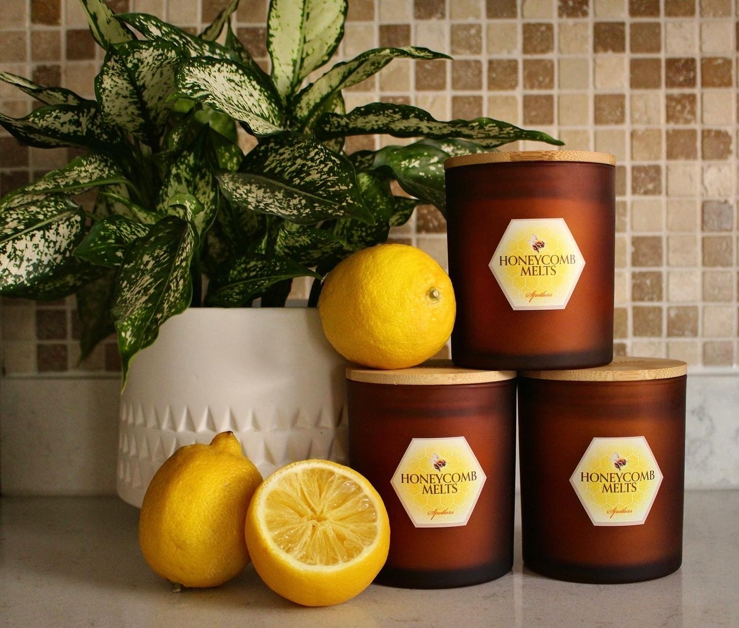 Spotless | Signature Beeswax Candle