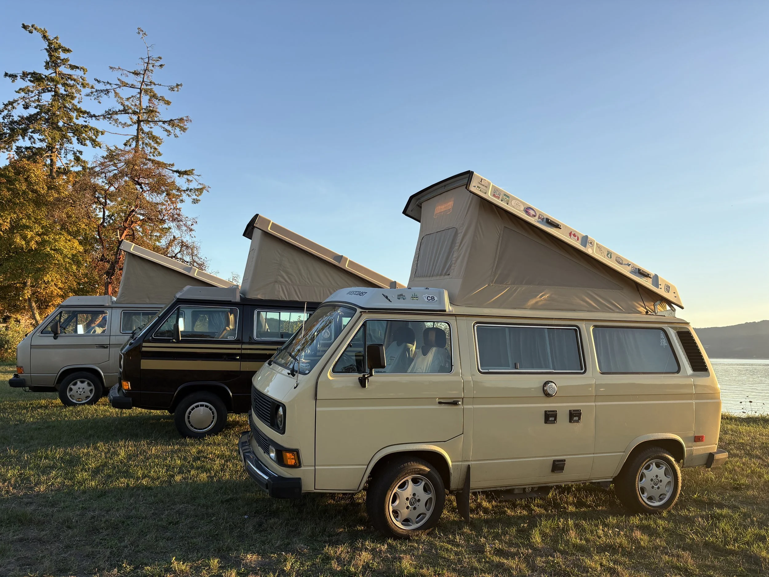 Three vintage camper vans parked on grass near a lake with trees and mountains in the background during sunset, with pop-up roofs extended.
