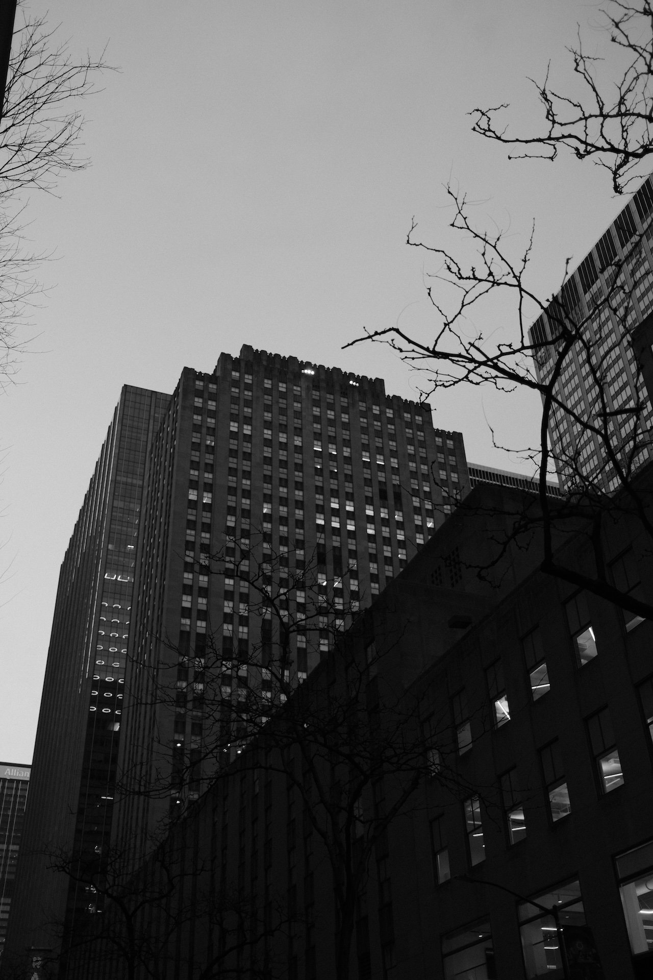 js nyc-9.jpeg