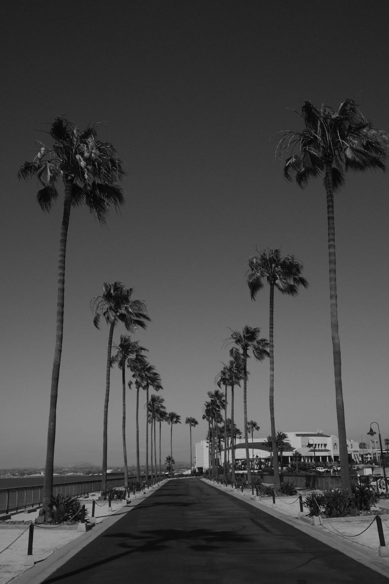 js san diego-16.jpeg