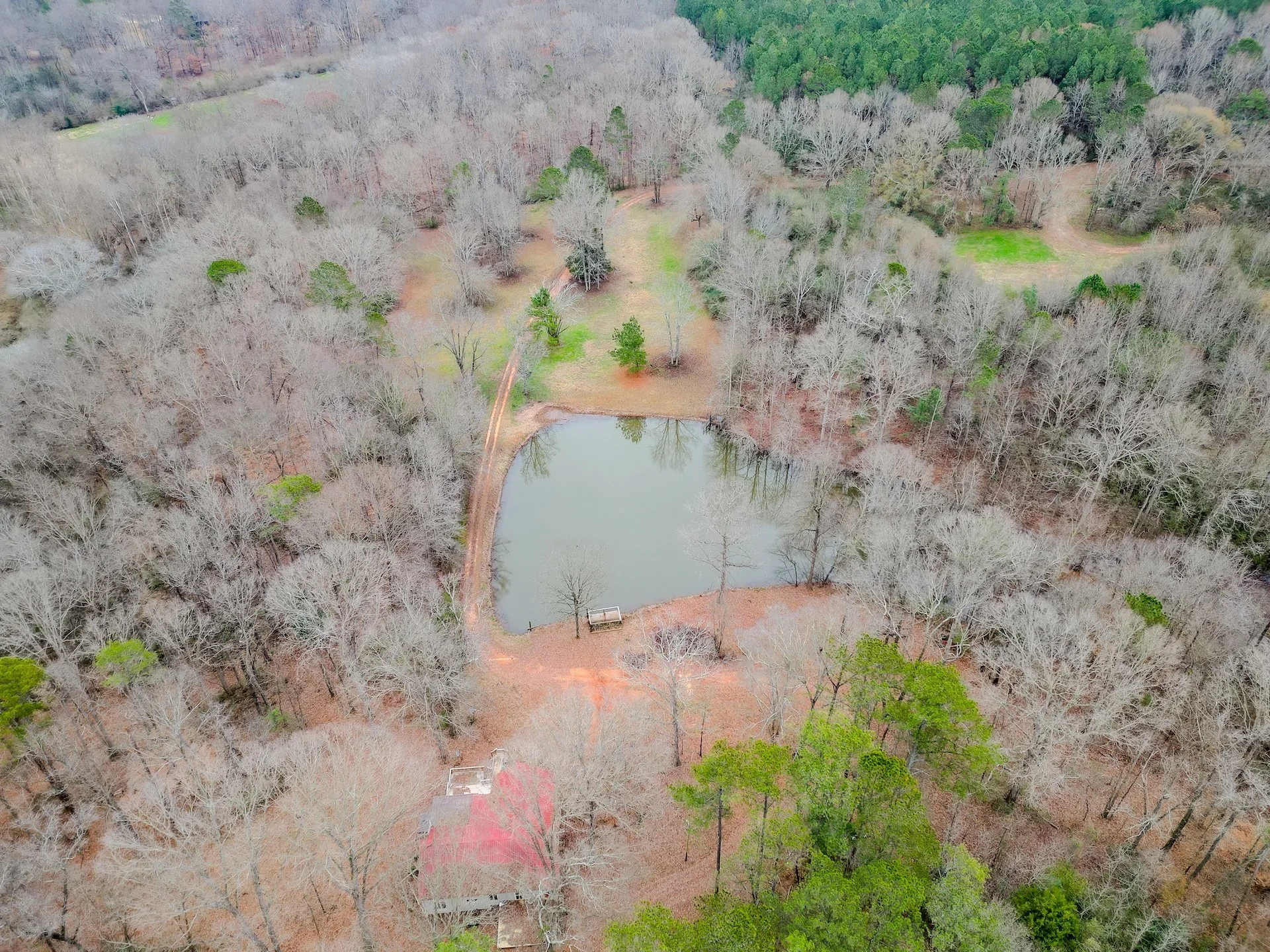 Aerial view of a wooded area with a small pond nestled among leafless trees, a walking path, and a couple of small structures.