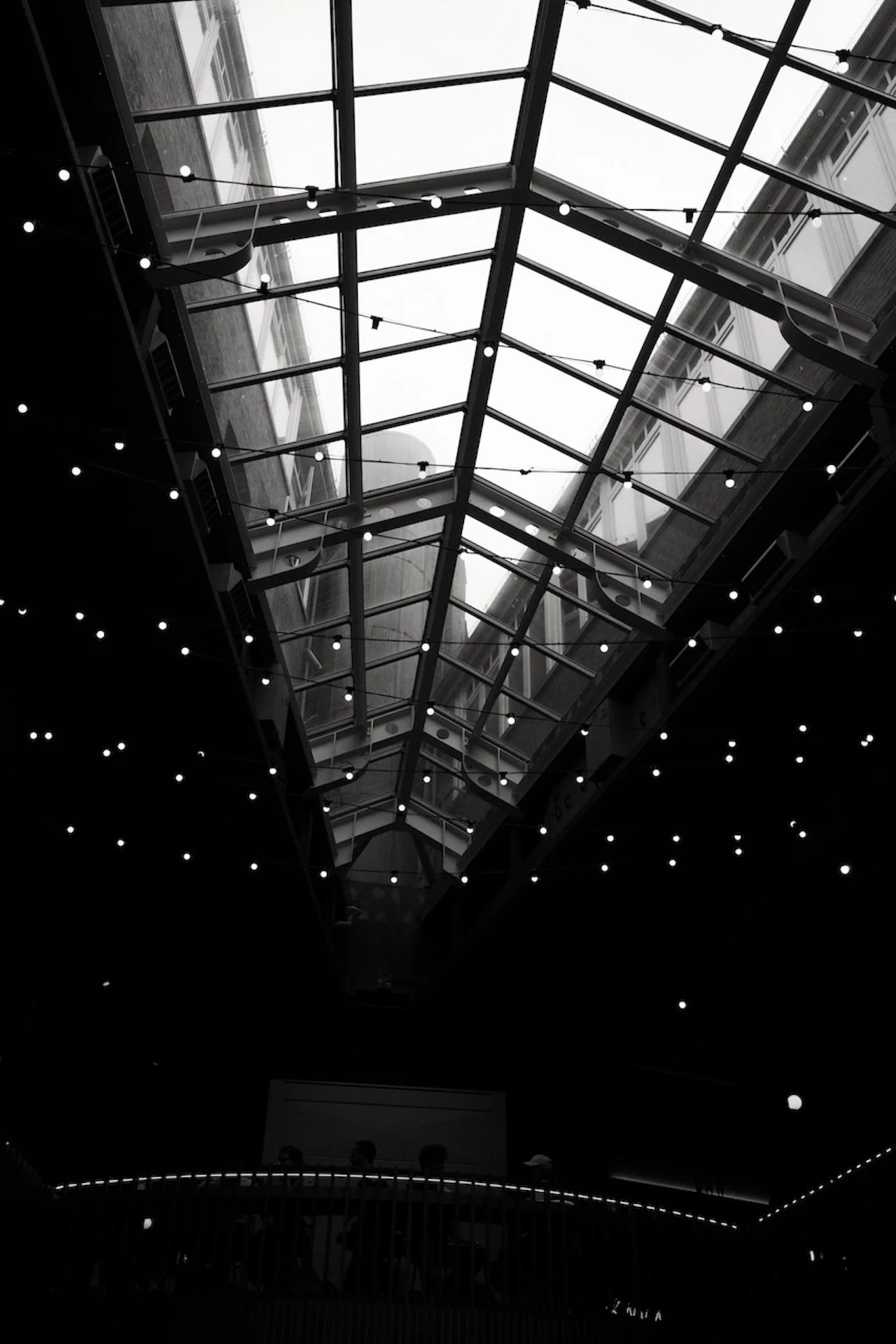 Interior view of a modern building with a large glass ceiling and string lights hanging from the ceiling.